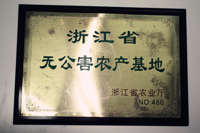 宋茗白茶