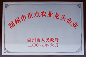 宋茗白茶