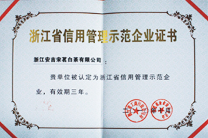 宋茗白茶