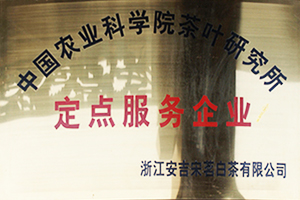 宋茗白茶
