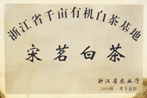 宋茗白茶