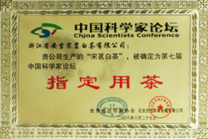 宋茗白茶