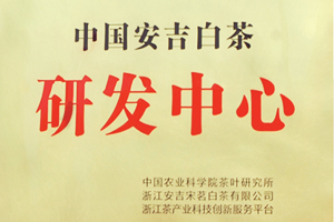 宋茗白茶